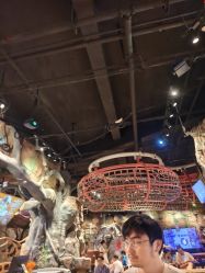 -探洞工场(丰科万达旗舰店)