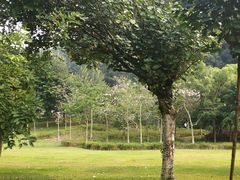 -火炉山森林公园