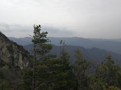 -牛背梁国家森林公园