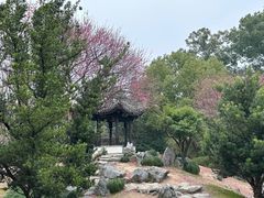 -台州府城(东湖)