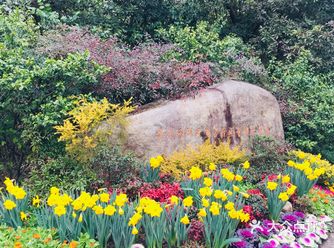 老天爷在春节几天给了几个晴天还是算蛮好的了