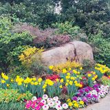 老天爷在春节几天给了几个晴天还是算蛮好的了