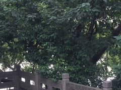-北山街历史文化街区