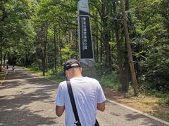 -青龙山国家森林公园