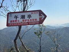 -午潮山国家森林公园