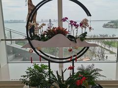 -朵云书院(滴水湖店)