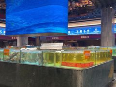 -国惠大酒楼(仓山万达店)
