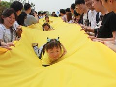 -上海都市菜园