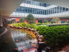 -香港大学