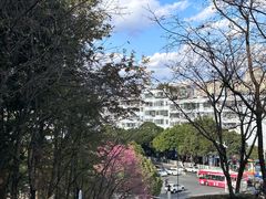 -昆明动物园