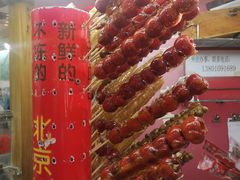 -和禄德冰糖葫芦