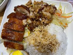 -宋记港式烧鹅(星火路店)