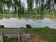 -堤角公园