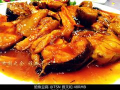 鲶鱼豆腐-普天和酒楼·新津菜·烤鸭(天津之眼店)