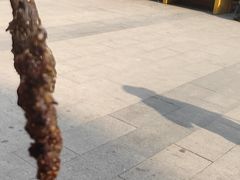 -景泰马记电烤串(景泰店)