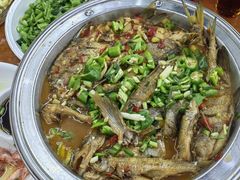 -全乐鱼馆·淳牌有机鱼直营店