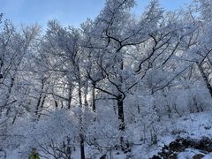 -崂山巨峰游览区