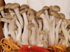 -湯系·煲汤手艺人(东二环泰禾广场店)
