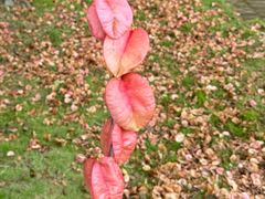 -白塘生态植物园