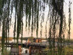 -太湖湖滨国家湿地公园-停车场