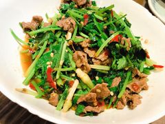 -壹盏灯(惠农店)