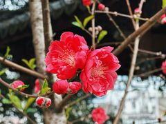 -乌山风景区