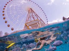 -三亚海昌梦幻海洋不夜城