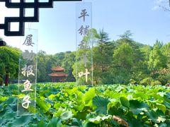 -富乐山
