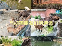-广州动物园