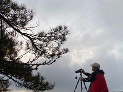 -黄山排云型旅酒店餐厅