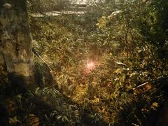 -徐妹串串香(春熙路店)