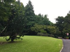 -上海滨江森林公园