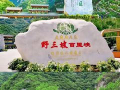 -桔子文创·企业团建·活动策划·拓展会议