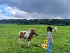 -济州森林小火车生态公园
