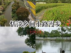 -上海杨姆庄园