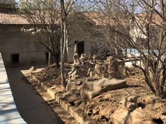 -石家庄市动物园