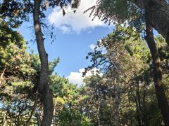 -长春市南湖公园