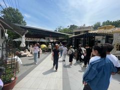 -京北渔家傲