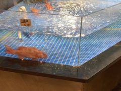 -绿杨春·淮扬宴(庐山路店)
