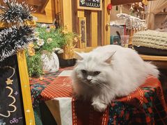 -盟重烧烤(高正街店)