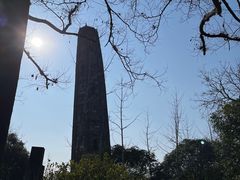 -上海佘山国家森林公园天马山园