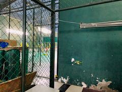 -东丽温泉羽毛球