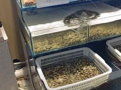 -四海蒸鲜蒸汽海鲜自助(北戴河店)
