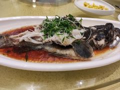 -厦门悦华酒店