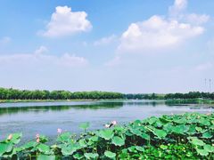 -素心小筑(后沙裕镇店)