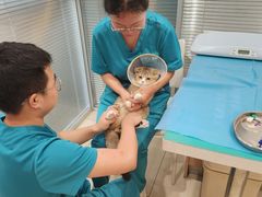 -美迦爱-牙专科·兔科·骨科诊疗中心(北苑店)