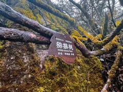 -山王坪喀斯特国家生态公园
