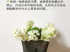 -福孕妈妈家政•月嫂育儿嫂保姆