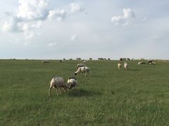 iphone_upload_pic-木兰围场