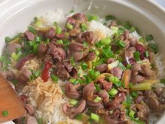 -石岐乳鸽村(南海第三分店)